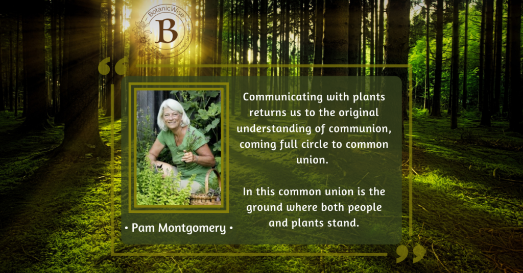 Plant communication with Pam Montgomery