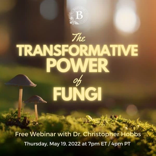 Transformative Power of Fungi with Dr. Christopher Hobbs
