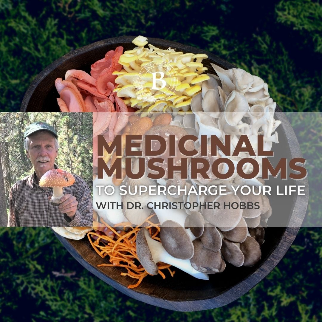 Everyday Mushrooms to Supercharge Your Life
