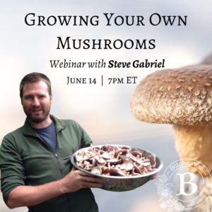 BotanicWise Grow Your Own Mushrooms