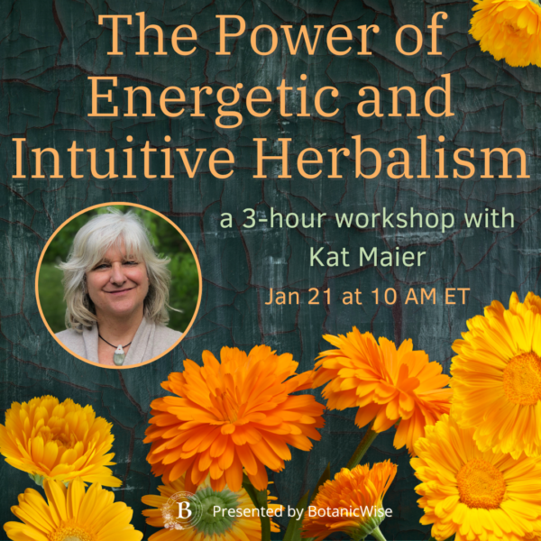 The Power of Energetic and Intuitive Herbalism with Kat Maier