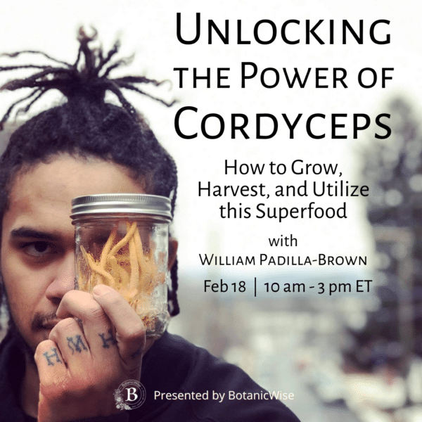 Unlocking the Power of Cordyceps How to Grow, Harvest, and Utilize this Superfood with William Padilla-Brown